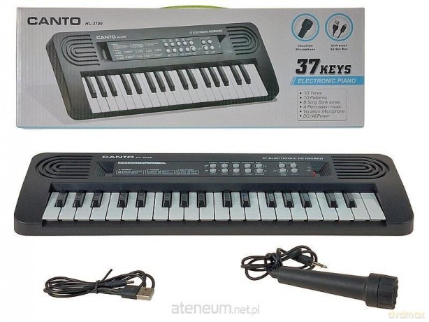 Organki z mikrofonem 37 klawiszy