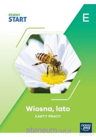 Pewny Start poziom E [KSIĄŻKA]