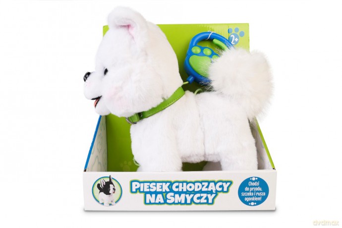 Piesek chodzący na smyczy