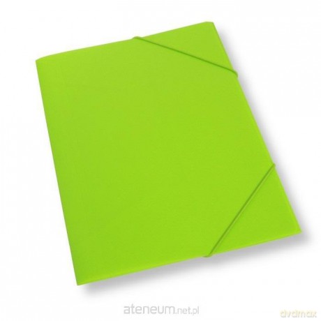 Teczka A4 z gumką plastikowa jasnozielona