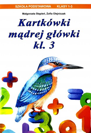 Kartkówki mądrej główki klasa 3 [KSIĄŻKA]