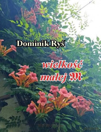 Wielkość małej m - Dominik Ryś [KSIĄŻKA]