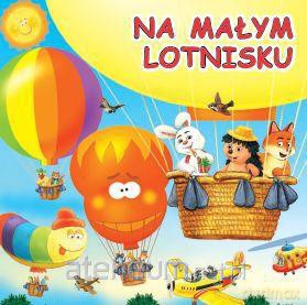 Na małym lotnisku [KSIĄŻKA]