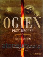 Ogień przy drodze - Tadeusz Ziubiński [KSIĄŻKA]