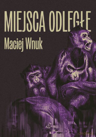 Miejsca odległe - Maciej Wnuk [KSIĄŻKA]