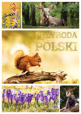 Przyroda Polski [KSIĄŻKA]