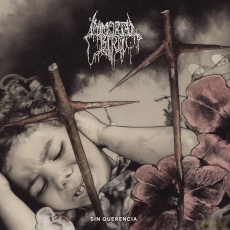 Immortal Bird: Sin Querencia [CD]