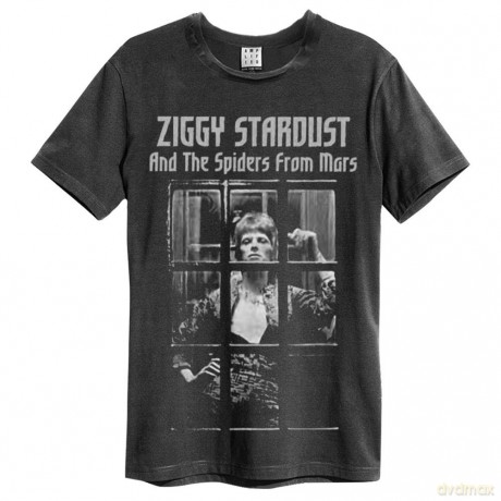 David Bowie: Rise And Fall Amplified Vintage Charcoal X Large T Shirt
