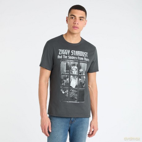 David Bowie: Rise And Fall Amplified Vintage Charcoal X Large T Shirt