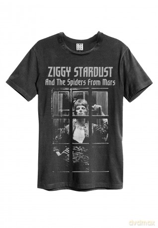 David Bowie: Rise And Fall Amplified Vintage Charcoal Xx Large T Shirt