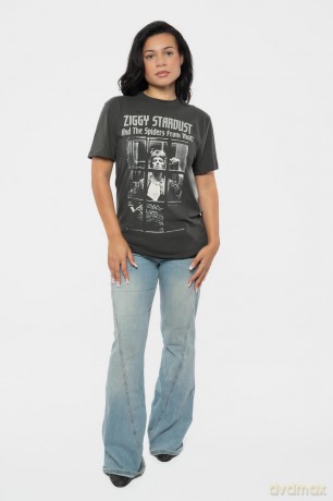 David Bowie: Rise And Fall Amplified Vintage Charcoal Xx Large T Shirt
