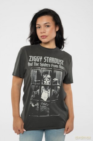 David Bowie: Rise And Fall Amplified Vintage Charcoal Xx Large T Shirt