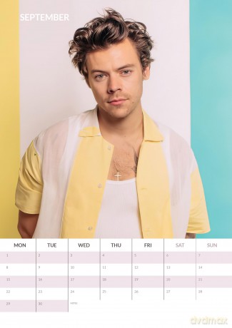 Harry Styles: 2025 Calendar