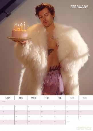 Harry Styles: 2025 Calendar