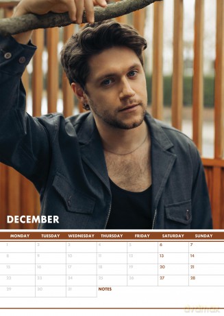 Niall Horan: 2025 Calendar