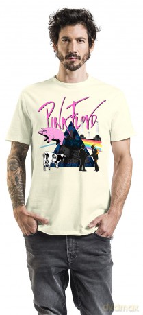 Pink Floyd: The Greats Amplified Vintage White Xx Large T-Shirt