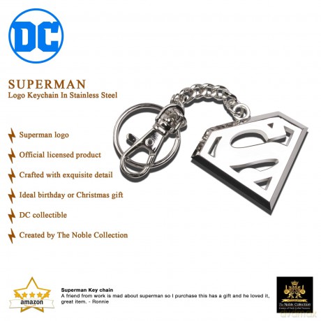 Superman: Logo Keychain - Stainless Steel