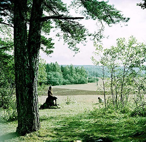 Andrei Tarkovski - L Integrale - 9 Dvd [DVD]