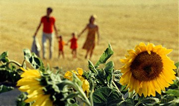 Bonheur (Le) [DVD]