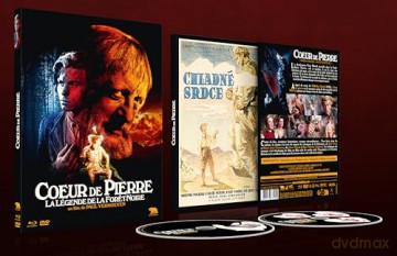 Coeur De Pierre [DVD]
