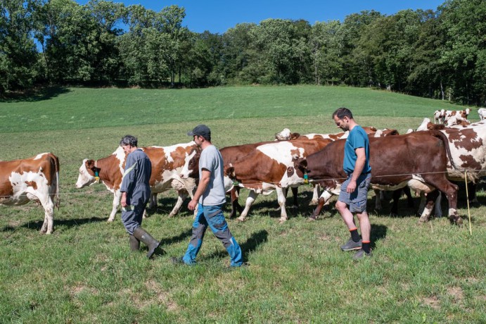 Ferme Des Bertrand (La) [DVD]