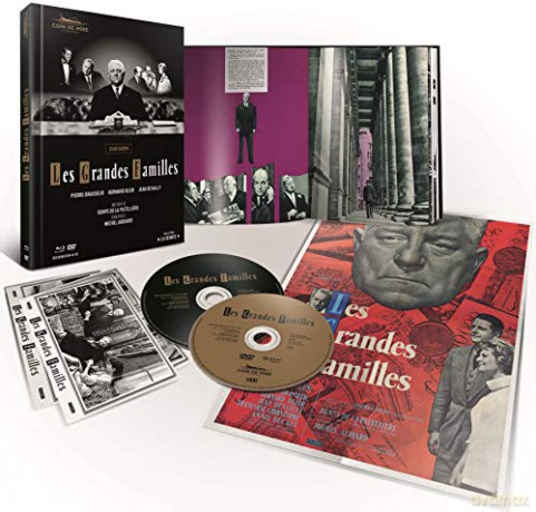 Grandes Familles (Les) [DVD]