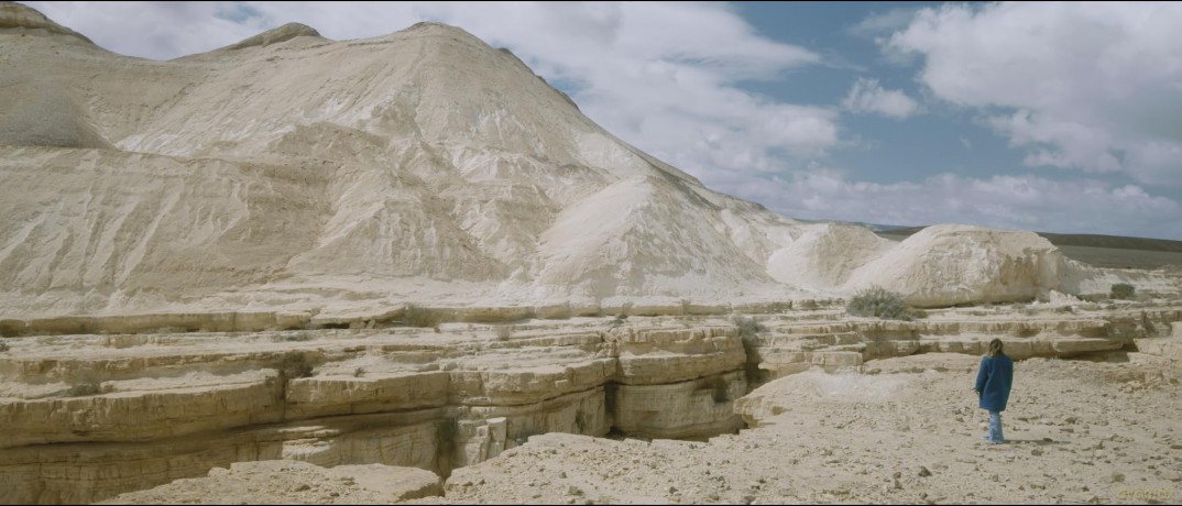 Il N Y A Pas D Ombre Dans Le Desert [DVD]