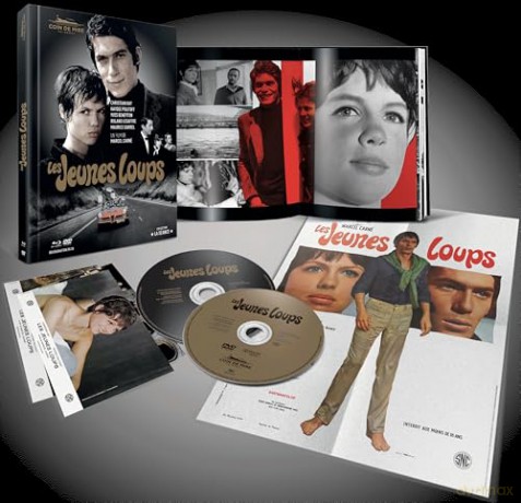 Jeunes Loups (Les) [DVD]
