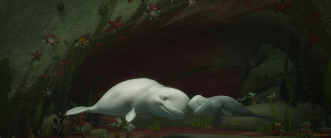 Katak Le Brave Beluga [DVD]