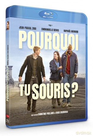 Pourquoi Tu Souris [Blu-Ray]