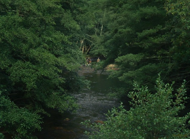 Riviere (La) [DVD]