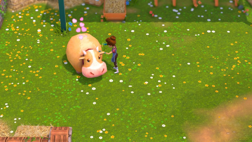 My Universe: 2 in 1 Culinary Collection [GRA SWITCH]