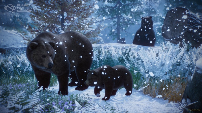 Planet Zoo: Console Edition [GRA XBOX SERIES X]