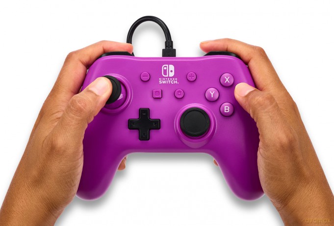 Powera Wired Controller Grape Purple
