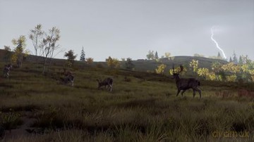 Way of the Hunter - Wild Expeditions [GRA XBOX SERIES X]