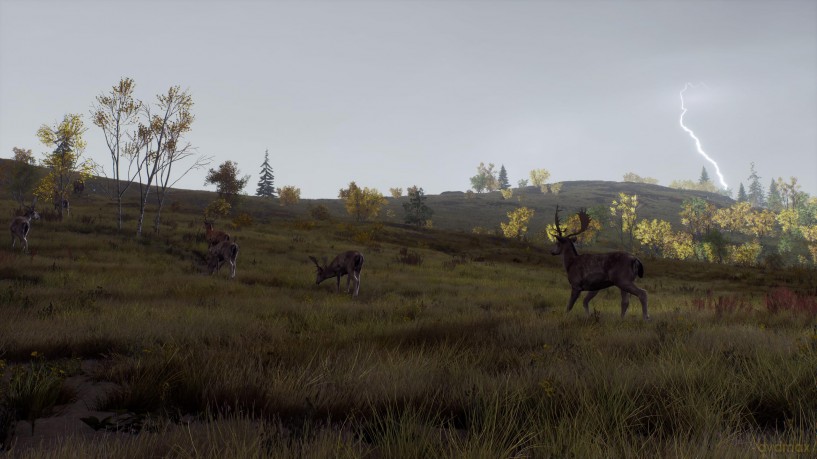 Way of the Hunter - Wild Expeditions [GRA XBOX SERIES X]