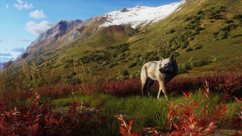 Way of the Hunter - Wild Expeditions [GRA XBOX SERIES X]