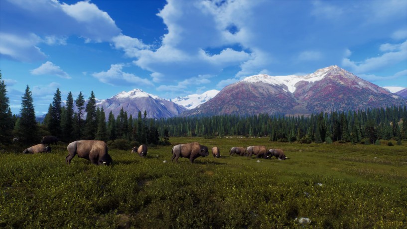 Way of the Hunter - Wild Expeditions [GRA XBOX SERIES X]