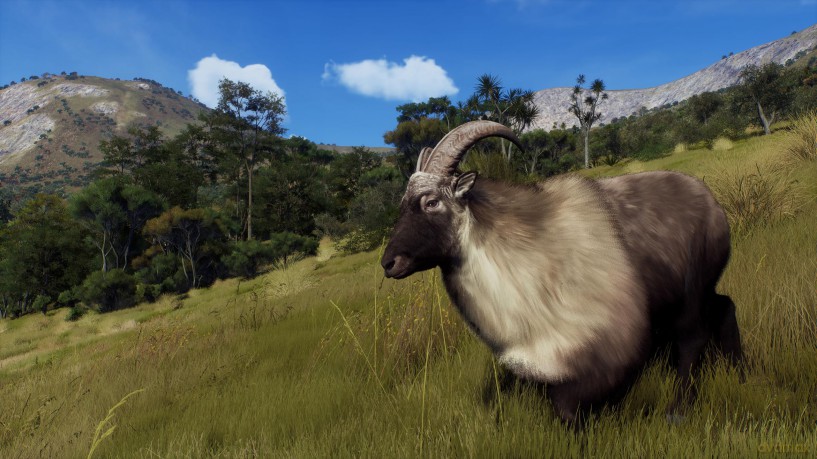 Way of the Hunter - Wild Expeditions [GRA XBOX SERIES X]