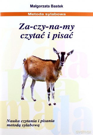 Za-czy-na-my czytać i pisać. [KSIĄŻKA]