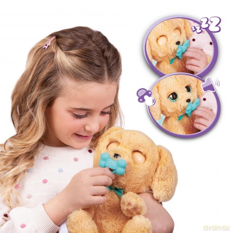 Baby Paws - Labrador (264-921146)