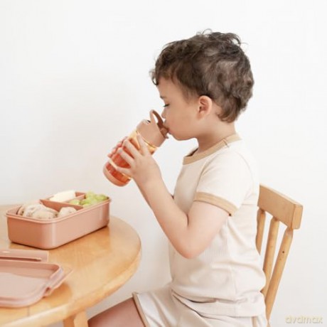3 Sprouts - Drinking bottle - Rust - 0.35L