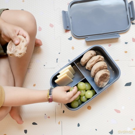 3 Sprouts - Lunch Box, Blueberry/Taupe - (IBBBTU)