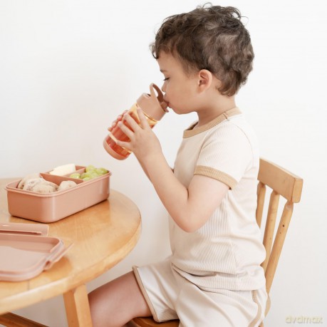3 Sprouts - Lunch Box, Rust - (IBBSRT)
