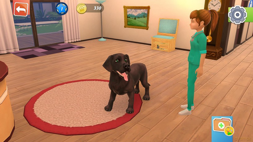 Animal Hospital [GRA PS5]