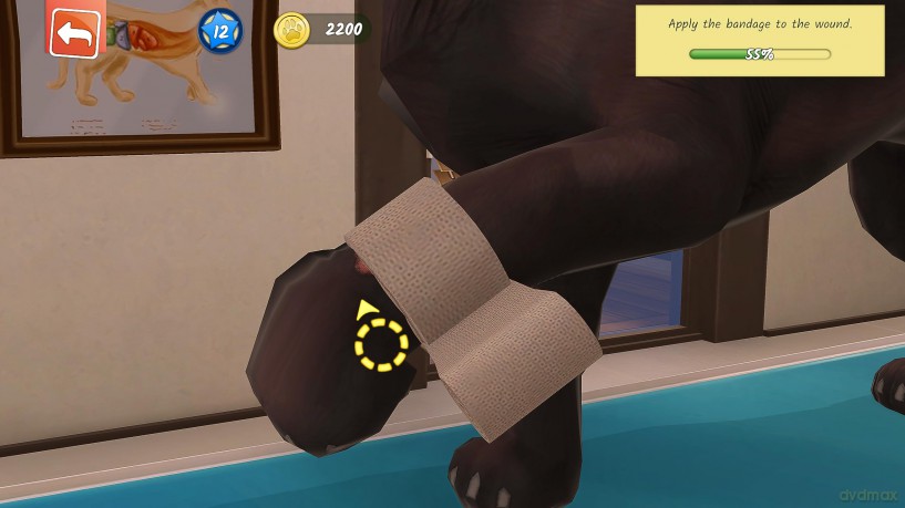 Animal Hospital [GRA PS5]