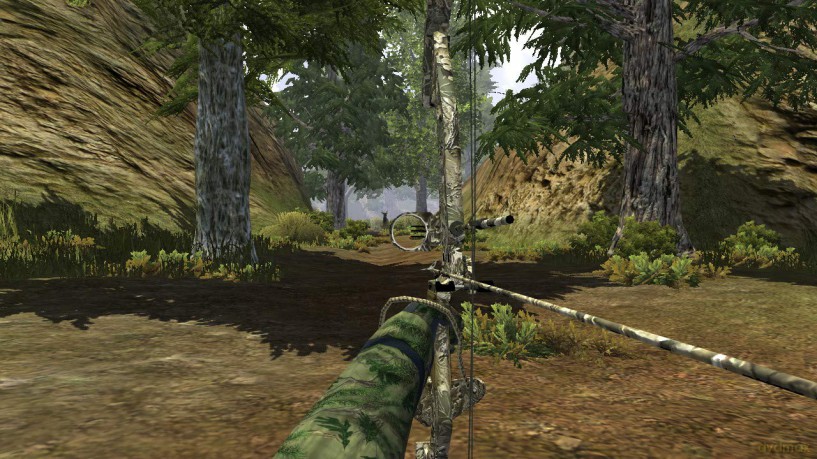 Cabela's The Hunt Championship Edition [GRA SWITCH]