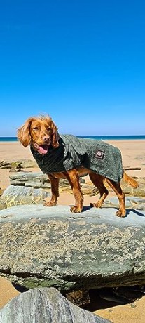 Danish design - Dog bath robe green 60cm - (D11260)