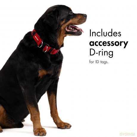 Ezydog - Collar Double Up Corduroy M 29-40Cm - (605.0076)