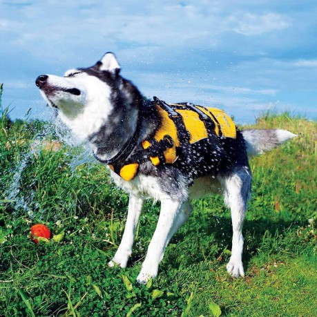 Ezydog - Life Jacket Red S 33-40CM 9-20KG - (628.4106)